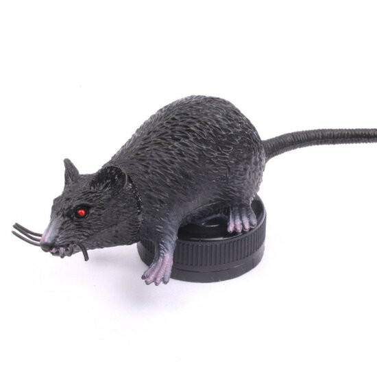 Rat Petlingset zwart - Geocaching