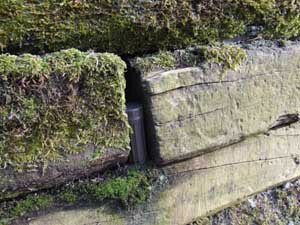 Groene waterdichte container