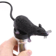 Rat Petlingset zwart - Geocaching